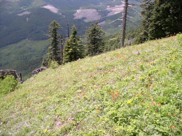 6.10.06 Table Mtn_3CR 128 